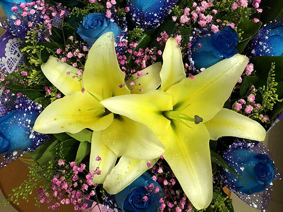張家港送長輩鮮花|移樹修枝