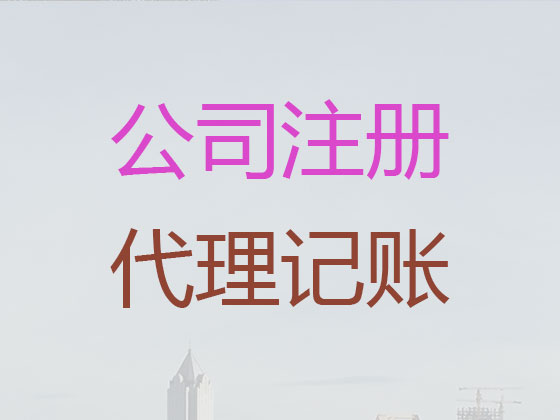 海南專業(yè)代記賬公司|代辦代理有限公司記賬/做賬