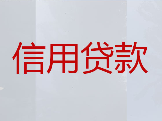 滁州抵押貸款公司-信用貸款